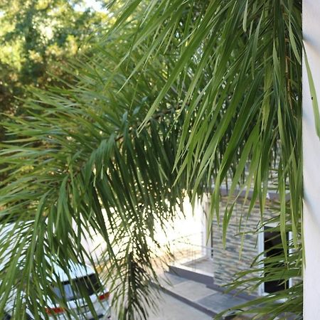 Apartamento Amueblado Amplio Tranquilo Privado Como Tu Lo Mereces Santiago De Los Caballeros Ngoại thất bức ảnh